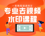专业去视频水印教程 静态水印、动态水印、文字水印、图片水印一套教程通通搞定-稀缺资源库