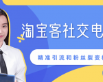某站内部课程:淘宝客社交电商裂变,精准引流和粉丝裂变模式详解(共6节视频)-稀缺资源库