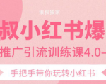 狼叔小红书爆款推广引流训练课4.0，手把手带你玩转小红书-稀缺资源库