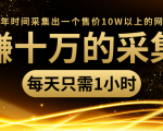 年赚十万的采集站,每天却只需要1小时,一年时间采集出一个售价10W以上的网站-稀缺资源库