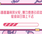 抖音直播间风火轮,暴力微信引流技术,低成本日加上千法-稀缺资源库