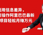 利用信息差异，零投资操作阿里巴巴最新管道项目轻松月赚10000+-稀缺资源库