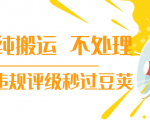 抖音纯搬运 不处理 小技巧，30秒发一个作品，避免违规评级秒过豆荚-稀缺资源库