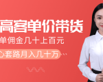 抖音高单价带货项目,一单佣金几十上百元,核心套路月入几十万(共3节)-稀缺资源库
