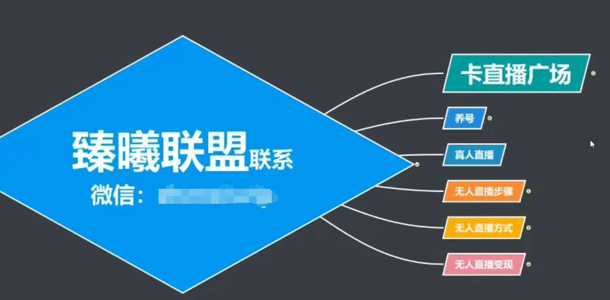 臻曦联盟，最新无人直播万人在线技术理原及详细操作步骤解析（视频教程）-稀缺资源库