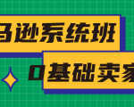 亚马逊系统班,专为0基础卖家量身打造,亚马逊运营流程与架构-稀缺资源库
