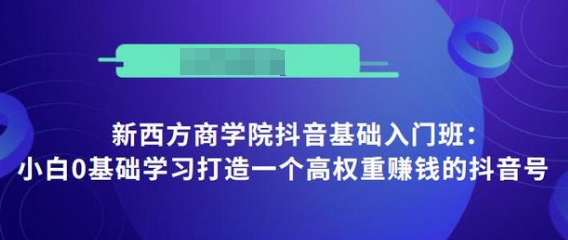抖音基础入门班：小白0基础学习打造一个高权重赚钱的抖音号-稀缺资源库