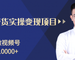 柚子分享课:微信视频号变现攻略,新手零基础轻松日赚千元-稀缺资源库