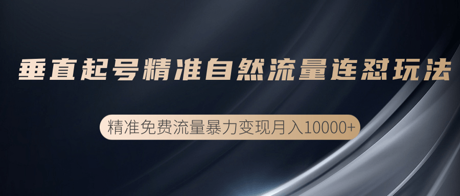垂直起号精准自然流量连爆玩法，精准引流暴力变现月入10000+-稀缺资源库