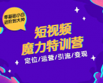 零基础小白进阶到大神《短视频魔力特训营》定位-运营-引流-变现-稀缺资源库