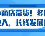 微信小商店带货,爆单多倍收入,长期复利循环!日赚300-800元不等-稀缺资源库