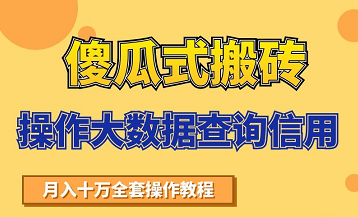搬砖操作大数据查询信用项目赚钱教程，祝你快速月入6万-稀缺资源库