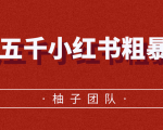 月入五千小红书粗暴赚钱玩法,适合上班族的赚钱副业-稀缺资源库