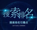 搜索排名引爆点:教你快速掌握各个搜索引擎排名算法,让客户主动找上你的秘笈-稀缺资源库