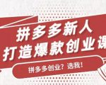 拼多多新人打造爆款创业课:快速引流持续出单,适用于所有新人-稀缺资源库