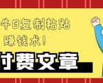 —牛B复制粘贴赚钱术!牛逼持久收入极品闷声发财项目,首发揭秘独此一家!-稀缺资源库