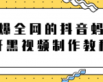 火爆全网的抖音“蚂蚁牙黑”视频制作教程,附软件【视频教程】-稀缺资源库
