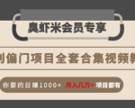 暴利偏门项目全套合集视频教程:你要的日赚1000+月入几万+项目都有-稀缺资源库