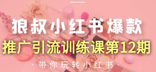 狼叔小红书爆款推广引流训练课第12期，手把手带你玩转小红书-稀缺资源库