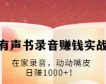 有声书录音赚钱实战:在家录音,动动嘴皮,日赚1000+!-稀缺资源库