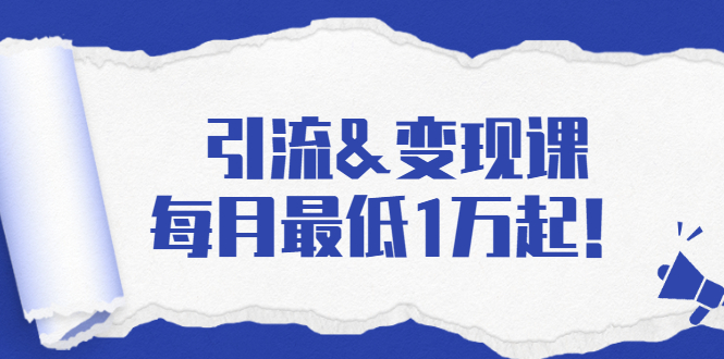 引流&变现课：分享一整套流量方法以及各个渠道收入，每月最低1万起！-稀缺资源库