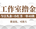 工作室撸金二件套:撸今日头条原创收益+小红书一单利润40块项目-稀缺资源库