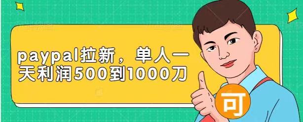Paypal拉新赚美刀项目，单人一天利润500-1000刀【视频课程】-稀缺资源库