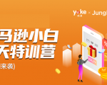 雨课·亚马逊小白特训营第9期 跨境电商挺赚钱的 有朋友已经月入几十万美金-稀缺资源库