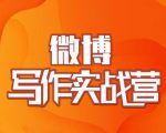 村西边老王·微博超级写作实战营,帮助你粉丝猛涨价值999元-稀缺资源库