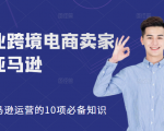 职业跨境电商卖家聊亚马逊:亚马逊运营的10项必备知识,12堂课让你看懂亚马逊运营-稀缺资源库