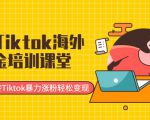 最新Tiktok海外掘金培训课堂:带你玩转Tiktok暴力涨粉轻松变现-稀缺资源库