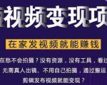 在家也能操作的短视频赚钱项目,无需真人,不用拍摄,纯搬运月入2到5万-稀缺资源库