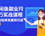 2021闲鱼副业月入过万实战课程:从开店到选择货源到引流,全程实战教学-稀缺资源库