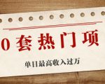 30套热门项目：单日最高收入过万 (网赚项目、朋友圈、涨粉套路、抖音、快手)等-稀缺资源库