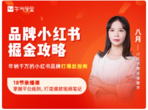 品牌小红书掘金攻略，年销千万的小红书品牌打爆款指南-稀缺资源库