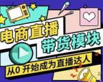 大鹏·电商直播带货课，系统学习直播带货各环节技巧和套路-稀缺资源库