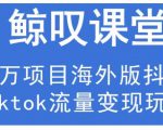 鲸叹号·海外TIKTOK训练营,百万项目海外版抖音tiktok流量变现玩法-稀缺资源库