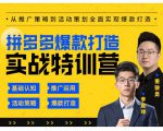 玺承云·拼多多爆款打造实战特训营,一套从入门到高手课程,让你快速拿捏拼多多-稀缺资源库