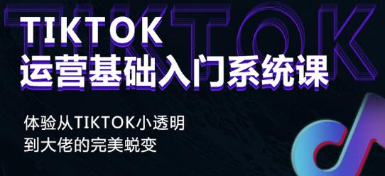 Tiktok实操进阶课程，体验从tiktok小透明到大佬的完美蜕变-稀缺资源库