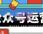 零零已久·从0-1运营公众号,零基础小白也能上手,系统性了解公众号运营-稀缺资源库