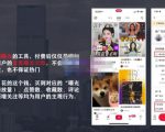 麦子互娱短视频带货·0基础做好物分享账号,无需出镜无需货源无需拍摄-稀缺资源库