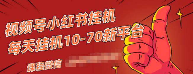 视频号小红书抖音挂机项目，小白无脑操作，按照要求来，单号每天几十米-稀缺资源库