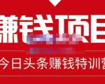 懒人领域·今日头条项目玩法,头条中视频项目,单号收益在50—500可批量-稀缺资源库