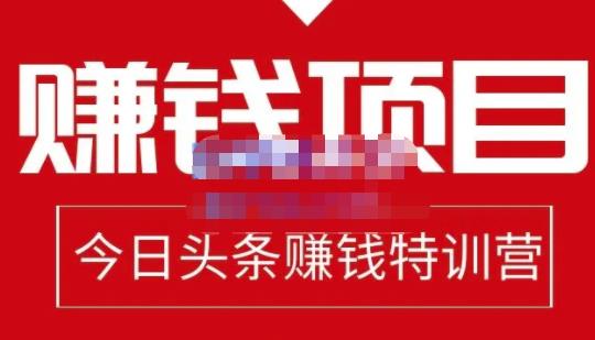 懒人领域·今日头条项目玩法，头条中视频项目，单号收益在50—500可批量-稀缺资源库