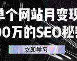 单个网站月变现100万的SEO秘密,百分百做出赚钱站点-稀缺资源库