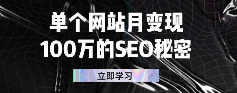 单个网站月变现100万的SEO秘密，百分百做出赚钱站点-稀缺资源库