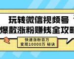 玩转微信视频号爆款涨粉赚钱全攻略,快速涨粉百万变现万元秘诀-稀缺资源库