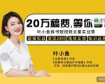 叶小鱼21天短视频文案拆书营,学完轻松搞定各类书单短视频文案-稀缺资源库