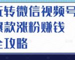 玩转微信视频号爆款涨粉赚钱全攻略,让你快速抓住流量风口,收获红利财富-稀缺资源库