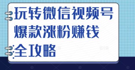 玩转微信视频号爆款涨粉赚钱全攻略，让你快速抓住流量风口，收获红利财富-稀缺资源库
